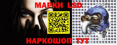 прущие грибы Краснознаменск