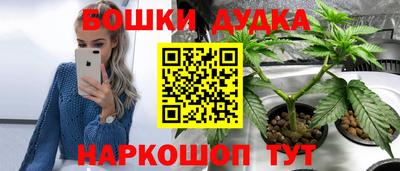 прущие грибы Краснознаменск